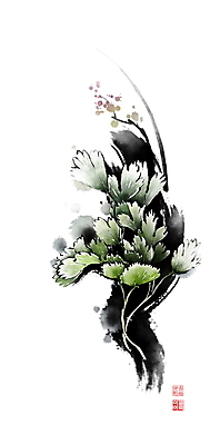 PSD 일러스트 식재료 캘리그라피 붓터치 사람없음 번짐 낙관 방풍 식자재 국내일러스트 채소 파일형식 효과