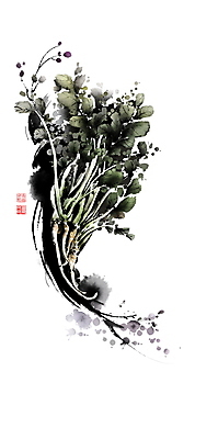 PSD 일러스트 식재료 캘리그라피 붓터치 사람없음 번짐 낙관 식자재 열무 국내일러스트 무 파일형식 효과