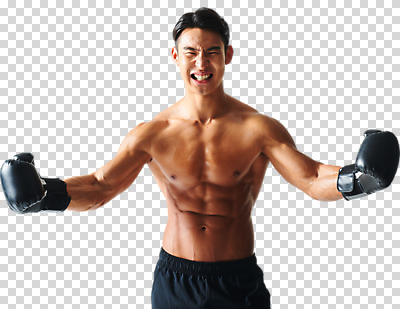 편집 편집이미지 남자 근육 건강 한명 누끼 상반신 20대 성인 앞모습 운동 건강관리 헬스 한국인 권투글러브 권투선수 보디빌딩 열정 PNG 성인남자한명만 편집소스 바디프로필 1 감정 뷰포인트 운동선수 관리 사람 동양인 청년 권투 글러브 남자한명만 성인남자만 파일형식