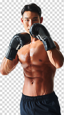 편집 편집이미지 남자 포즈 근육 운동선수 건강 한명 누끼 상반신 20대 성인 앞모습 건강관리 헬스 한국인 권투글러브 권투선수 보디빌딩 열정 PNG 성인남자한명만 편집소스 바디프로필 1 감정 스포츠 뷰포인트 관리 사람 동양인 청년 운동 권투 글러브 남자한명만 성인남자만 파일형식