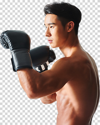 편집 편집이미지 응시 남자 스포츠 포즈 근육 운동선수 건강 한명 누끼 상반신 20대 성인 옆모습 운동 건강관리 헬스 한국인 권투글러브 권투선수 보디빌더 열정 PNG 성인남자한명만 편집소스 바디프로필 1 시선 감정 뷰포인트 관리 사람 동양인 청년 권투 글러브 보디빌딩 남자한명만 성인남자만 파일형식