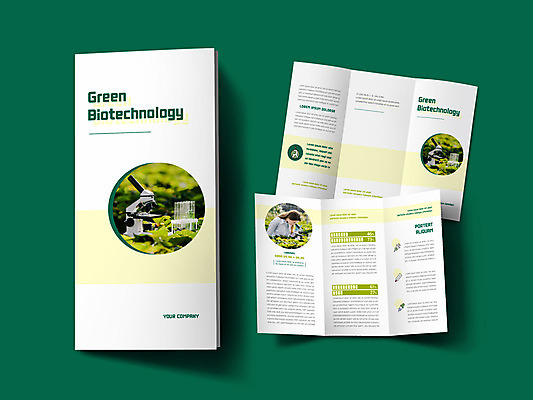 서양인 외국인 템플릿 표지디자인 여자 표지 내지 리플렛 3단접지 현미경 실험 한명 팜플렛 상반신 20대 성인 농사 흰색 관찰 시험관 바이오 성인여자한명만 이미지템플릿 AI파일 1 컬러 농업 모션 실험기구 사람 인종 청년 여자한명만 성인여자만 파일형식 벡터