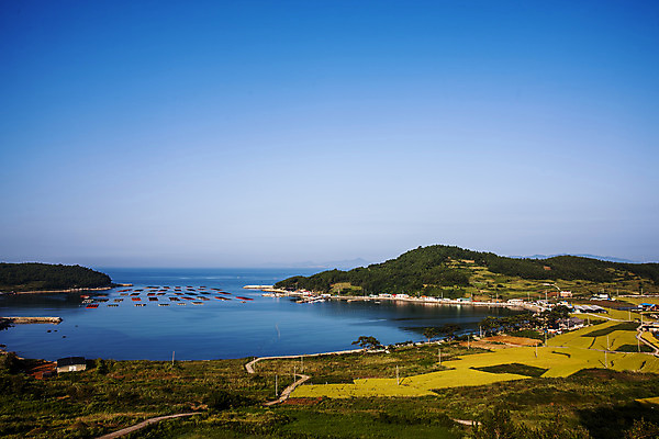 포토 JPG 주간 바다 섬 하늘 논 풍경 사람없음 야외 전라남도 남해 국내포토 자연요소 농업 전라도 파일형식