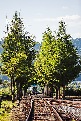 포토 JPG 주간 나무 구름 하늘 풍경 사람없음 야외 기찻길 전라북도 남원 선로 국내포토 자연요소 식물 전라도 파일형식