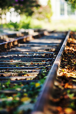 포토 JPG 주간 풍경 사람없음 야외 아웃포커스 기찻길 전라북도 남원 선로 국내포토 자연요소 촬영기법 전라도 파일형식