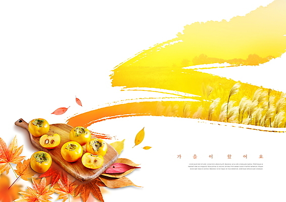 PSD 편집이미지 단풍 단면 감 갈대 사람없음 노란색 가을여행 나무도마 이미지편집 식물 컬러 여행 잎 과일 도마 목재 파일형식 가을_계절