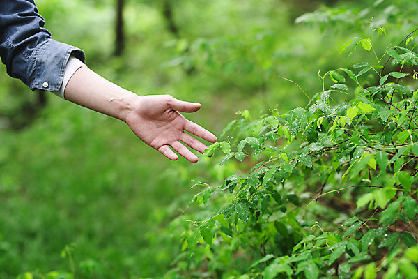 포토 JPG 주간 손 맨라이프 휴식 야외 아웃포커스 신체부위 여름휴가 바캉스 산책 만지기 숲 손뻗기 삼림욕 싱글라이프 국내포토 자연요소 라이프스타일 남자 컨셉 모션 휴가 촬영기법 사람 파일형식 여름_계절