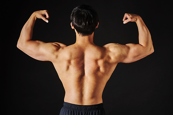 포토 JPG 스튜디오촬영 남자 포즈 검은배경 근육 운동선수 실내 한명 상반신 20대 성인 뒷모습 주먹 한국인 보디빌더 알통 의료성형뷰티 성인남자한명만 국내포토 1 스포츠 뷰포인트 백그라운드 모션 사람 동양인 청년 내부 검은색 보디빌딩 남자한명만 성인남자만 파일형식