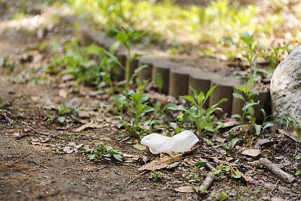 포토 JPG 주간 산 사람없음 야외 아웃포커스 자연보호 환경오염 오염 쓰레기 땅바닥 플로깅 국내포토 자연요소 컨셉 자연 바닥 촬영기법 보호 파일형식