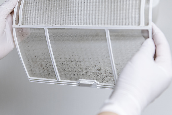 포토 JPG 손 장갑 실내 관리 들기 신체부위 지저분함 청소 에어컨 먼지 필터 국내포토 잡화 모션 사람 내부 가전제품 감각 파일형식