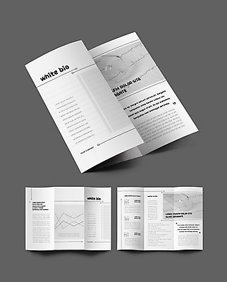 템플릿 표지디자인 표지 내지 리플렛 3단접지 그래프 팜플렛 사람없음 흰색 생명공학 시험관 유리관 바이오 이미지템플릿 AI파일 컬러 의학 실험기구 파일형식 벡터