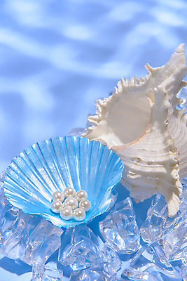 포토 JPG 스튜디오촬영 물결 실내 물그림자 사람없음 여름 파란색 조개껍데기 진주 고둥 감성 얼음조각 몽환 국내포토 계절 컬러 컨셉 조개 어패류 그림자 내부 얼음 보석 파일형식