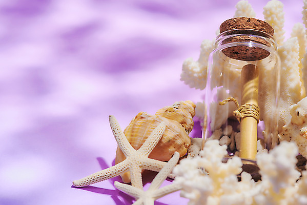 포토 JPG 스튜디오촬영 물결 분홍색 유리병 불가사리 실내 물그림자 근접촬영 사람없음 여름 산호 감성 유리병편지 몽환 국내포토 계절 뷰포인트 컬러 컨셉 병_용기 극피동물 그림자 내부 자포동물 편지 파일형식