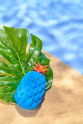 포토 JPG 스튜디오촬영 물결 모래 실내 물그림자 사람없음 여름 파란색 갈색 모형 파인애플 감성 몬스테라 몽환 국내포토 식물 계절 컬러 컨셉 과일 그림자 내부 열대과일 파일형식