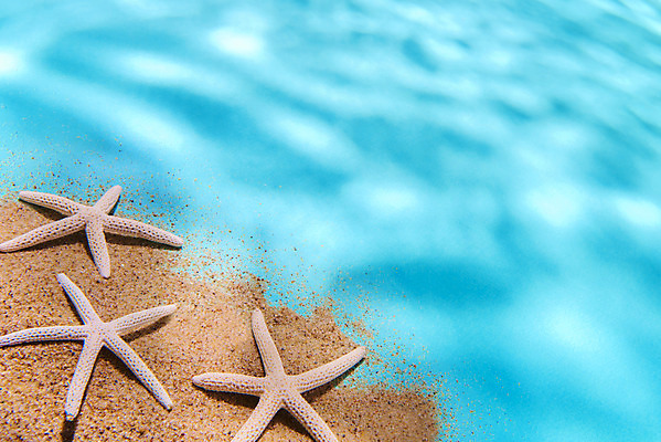 포토 JPG 스튜디오촬영 물결 모래 불가사리 실내 물그림자 사람없음 여름 파란색 감성 몽환 국내포토 계절 컬러 컨셉 극피동물 그림자 내부 파일형식