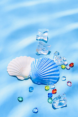 포토 JPG 스튜디오촬영 물결 유리 실내 물그림자 사람없음 여름 파란색 조개껍데기 감성 얼음조각 몽환 국내포토 계절 컬러 컨셉 재질 조개 그림자 내부 얼음 파일형식