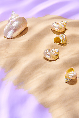 포토 JPG 스튜디오촬영 물결 모래 분홍색 실내 물그림자 사람없음 여름 소라 감성 베이지색 몽환 국내포토 계절 컬러 컨셉 어패류 그림자 내부 파일형식