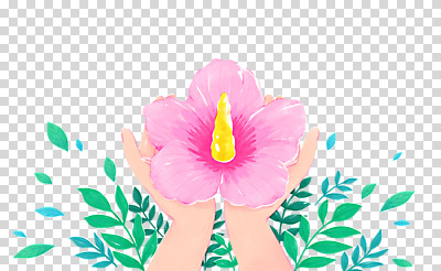 편집 편집이미지 손 잎 들기 누끼 신체부위 평화 무궁화 현충일 PNG 추모 편집소스 호국보훈의달 식물 기념일 꽃 컨셉 모션 사람 6월 파일형식