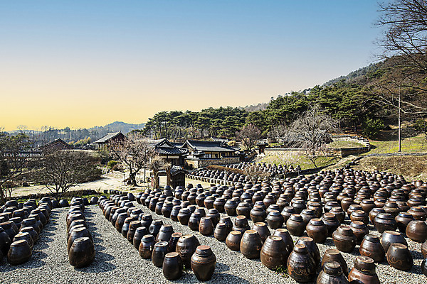 포토 JPG 주간 한국전통 하늘 한옥 풍경 사람없음 야외 항아리 논산 국내여행 뒷뜰 고택 국내포토 자연요소 전통 건축물 여행 고건축 한국 도자기 충청남도 파일형식