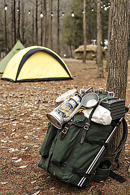 포토 JPG 주간 나무 배낭 텐트 캠핑도구 풍경 사람없음 야외 캠핑 랜턴 캠핑장 강원도 춘천 국내여행 남이섬 백패킹 국내포토 자연요소 식물 섬 여행 가방 레저 조명 한국 레포츠 도구 파일형식