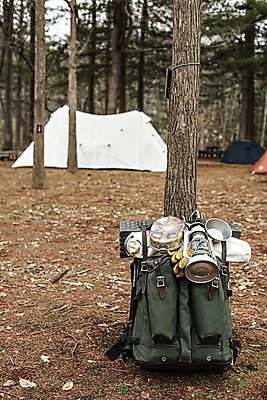 포토 JPG 주간 나무 배낭 텐트 캠핑도구 풍경 사람없음 야외 캠핑 랜턴 캠핑장 강원도 춘천 국내여행 남이섬 백패킹 국내포토 자연요소 식물 섬 여행 가방 레저 조명 한국 레포츠 도구 파일형식