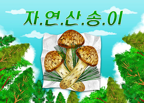 PSD 나무 일러스트 하늘 타이포그라피 사람없음 숲 솔잎 송이버섯 자연산 국내일러스트 식물 문자 잎 자연 버섯 파일형식