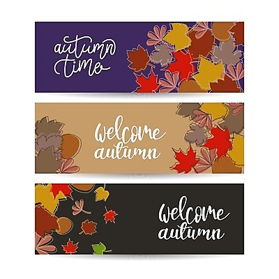 EPS 해외이미지 배너 낙엽 일러스트 글자캘리그라피 사람없음 세트 가을 해외일러스트 계절 잎 캘리그라피 파일형식 벡터