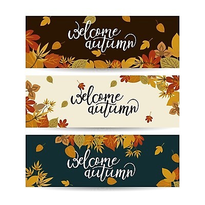 EPS 해외이미지 배너 낙엽 일러스트 글자캘리그라피 사람없음 세트 가을 해외일러스트 계절 잎 캘리그라피 파일형식 벡터