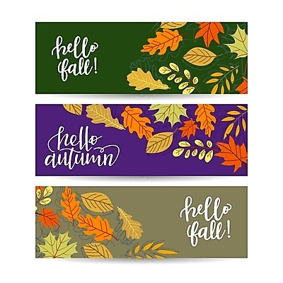 EPS 해외이미지 배너 낙엽 일러스트 글자캘리그라피 사람없음 세트 가을 해외일러스트 계절 잎 캘리그라피 파일형식 벡터