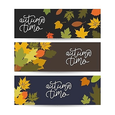 EPS 해외이미지 배너 낙엽 일러스트 글자캘리그라피 사람없음 세트 가을 해외일러스트 계절 잎 캘리그라피 파일형식 벡터