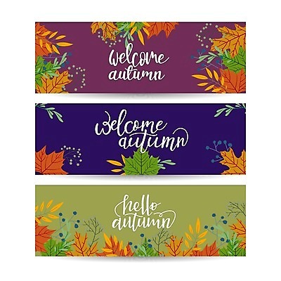 EPS 해외이미지 배너 낙엽 일러스트 글자캘리그라피 사람없음 세트 가을 해외일러스트 계절 잎 캘리그라피 파일형식 벡터