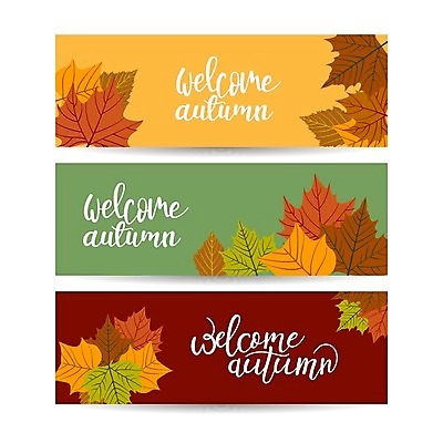 EPS 해외이미지 배너 낙엽 일러스트 글자캘리그라피 사람없음 세트 가을 해외일러스트 계절 잎 캘리그라피 파일형식 벡터
