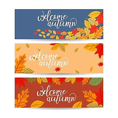 EPS 해외이미지 배너 낙엽 일러스트 글자캘리그라피 사람없음 세트 가을 해외일러스트 계절 잎 캘리그라피 파일형식 벡터
