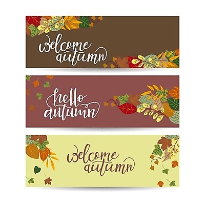 EPS 해외이미지 배너 낙엽 일러스트 글자캘리그라피 사람없음 세트 가을 해외일러스트 계절 잎 캘리그라피 파일형식 벡터