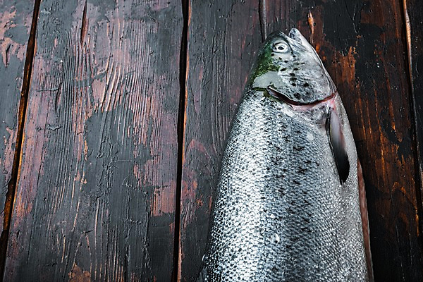 포토 JPG 해외이미지 한마리 실내 사람없음 신선 연어 나무탁자 카피스페이스 해외포토 1 탁자 어류 내부 공백 파일형식