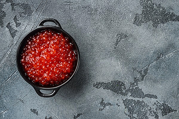 포토 JPG 해외이미지 그릇 회색배경 실내 사람없음 하이앵글 연어알 카피스페이스 해외포토 식기 뷰포인트 백그라운드 내부 알 공백 회색 파일형식