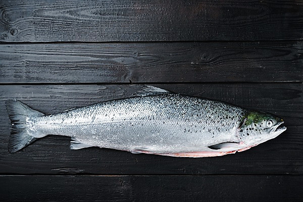 포토 JPG 해외이미지 한마리 실내 사람없음 하이앵글 신선 연어 나무탁자 해외포토 1 뷰포인트 탁자 어류 내부 파일형식