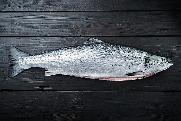 포토 JPG 해외이미지 검은배경 실내 사람없음 신선 연어 나무배경 해외포토 백그라운드 어류 내부 검은색 파일형식