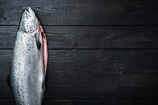 포토 JPG 해외이미지 검은배경 실내 사람없음 신선 연어 나무배경 해외포토 백그라운드 어류 내부 검은색 파일형식