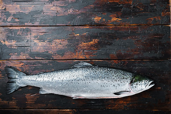 포토 JPG 해외이미지 한마리 실내 사람없음 하이앵글 신선 연어 나무탁자 카피스페이스 해외포토 1 뷰포인트 탁자 어류 내부 공백 파일형식