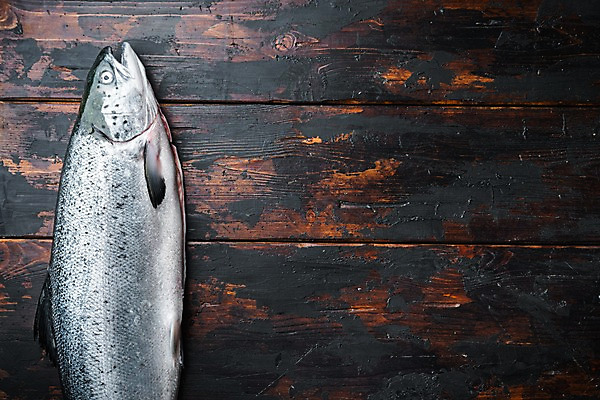 포토 JPG 해외이미지 한마리 실내 사람없음 하이앵글 신선 연어 나무탁자 카피스페이스 해외포토 1 뷰포인트 탁자 어류 내부 공백 파일형식