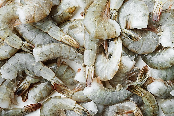 포토 JPG 해외이미지 식재료 새우 사람없음 하이앵글 해외포토 뷰포인트 갑각류 파일형식