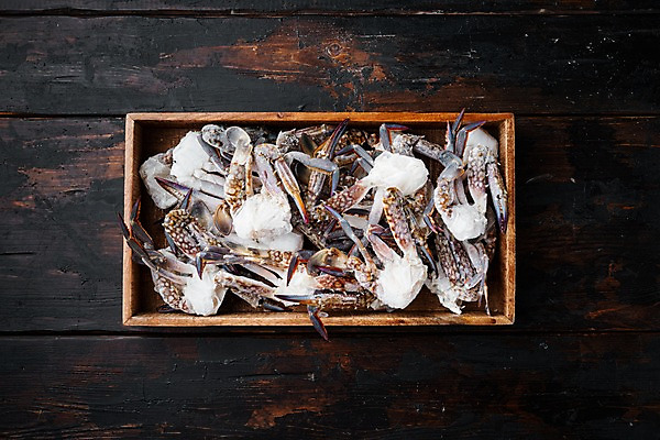 포토 JPG 해외이미지 실내 사람없음 하이앵글 꽃게 나무상자 해산물 담기 반쪽 날것 슬라이스 게다리 나무배경 해외포토 뷰포인트 백그라운드 모션 내부 상자 게 파일형식