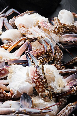 포토 JPG 해외이미지 실내 근접촬영 사람없음 꽃게 가득함 해산물 반쪽 날것 슬라이스 게다리 해외포토 뷰포인트 내부 게 파일형식