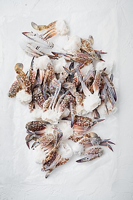 포토 JPG 해외이미지 실내 사람없음 냉동 꽃게 가득함 해산물 흰배경 반쪽 날것 슬라이스 비닐 게다리 얼림 해외포토 백그라운드 컨셉 재질 내부 게 흰색 파일형식