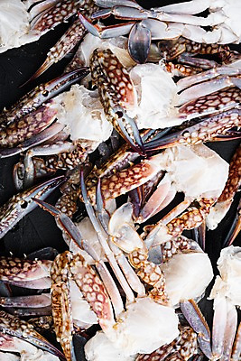 포토 JPG 해외이미지 실내 사람없음 꽃게 가득함 해산물 반쪽 날것 슬라이스 게다리 해외포토 내부 게 파일형식