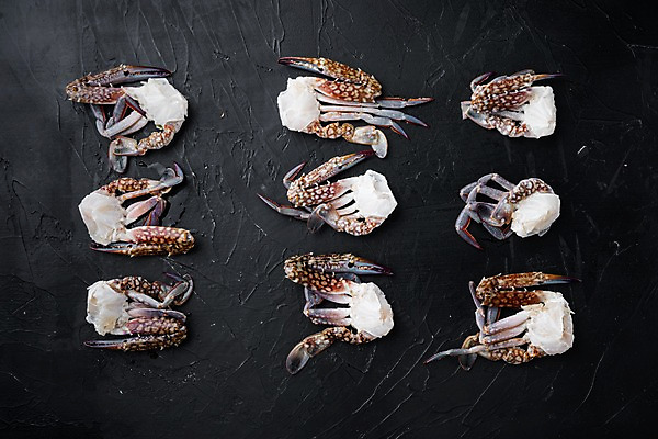 포토 JPG 해외이미지 검은배경 실내 사람없음 꽃게 해산물 반쪽 날것 슬라이스 일렬 게다리 해외포토 백그라운드 내부 검은색 게 파일형식