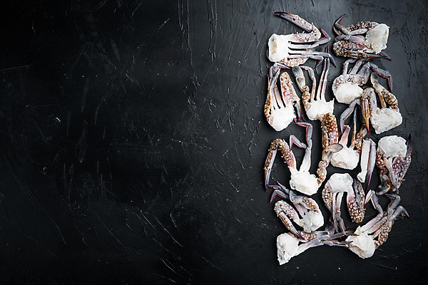 포토 JPG 해외이미지 검은배경 실내 사람없음 꽃게 해산물 반쪽 날것 슬라이스 게다리 카피스페이스 해외포토 백그라운드 내부 검은색 공백 게 파일형식
