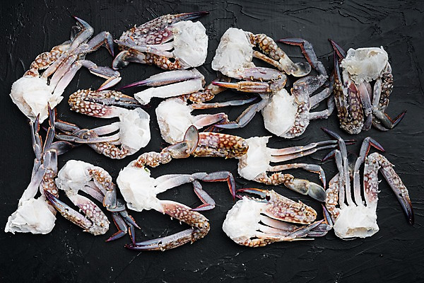 포토 JPG 해외이미지 검은배경 실내 사람없음 하이앵글 꽃게 해산물 반쪽 날것 슬라이스 게다리 해외포토 뷰포인트 백그라운드 내부 검은색 게 파일형식