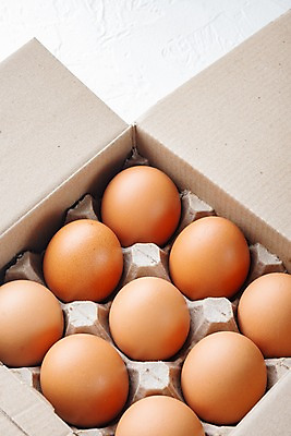 포토 JPG 해외이미지 음식 실내 사람없음 상자 계란 흰배경 계란판 해외포토 백그라운드 내부 알 흰색 파일형식